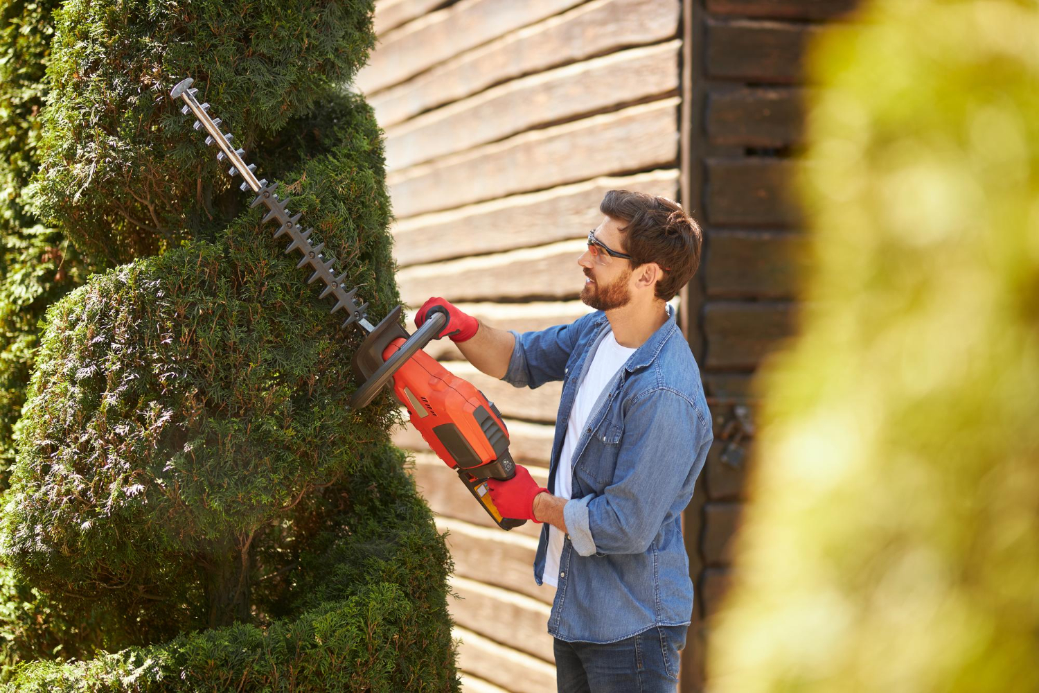 Hedge & Tree Removals